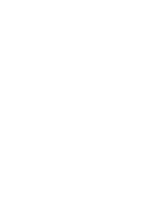 Martina Vondrova - Art Portfolio